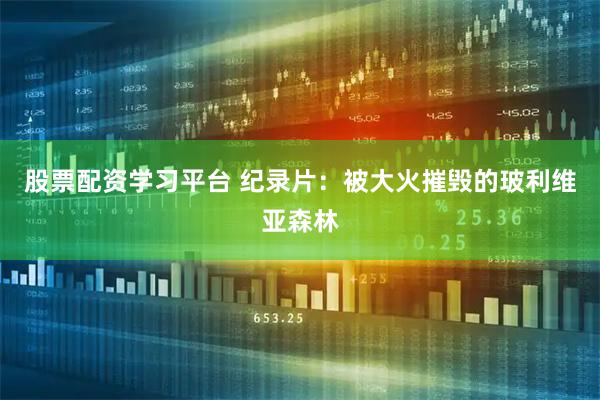 股票配资学习平台 纪录片：被大火摧毁的玻利维亚森林