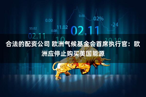 合法的配资公司 欧洲气候基金会首席执行官：欧洲应停止购买美国能源