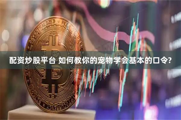 配资炒股平台 如何教你的宠物学会基本的口令?