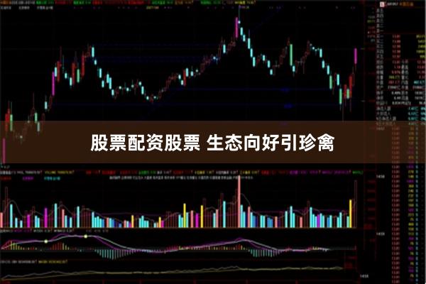 股票配资股票 生态向好引珍禽
