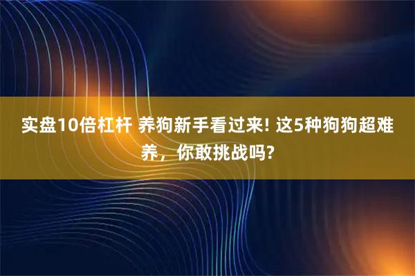 实盘10倍杠杆 养狗新手看过来! 这5种狗狗超难养，你敢挑战吗?